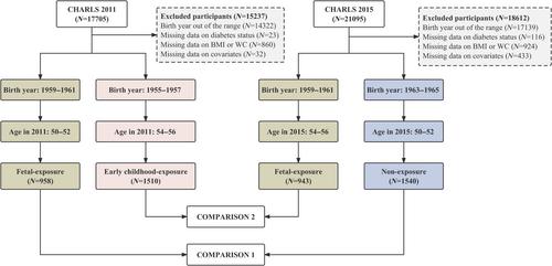 Associations of concurrent early-life famine exposure and adulthood obesity with type 2 diabetes mellitus in middle-aged Chinese