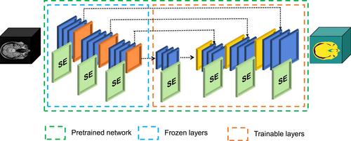 Transfer learning from T1-weighted to T2-weighted Magnetic resonance sequences for brain image segmentation