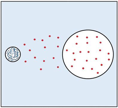 Monomer Transport in Emulsion Polymerization IV Gaseous Monomers