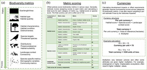 A global analysis reveals a collective gap in the transparency of offset policies and how biodiversity is measured