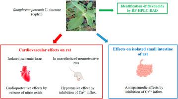 Antispasmodic, cardioprotective and blood-pressure lowering properties of Gomphrena perennis L. and its mechanisms of action