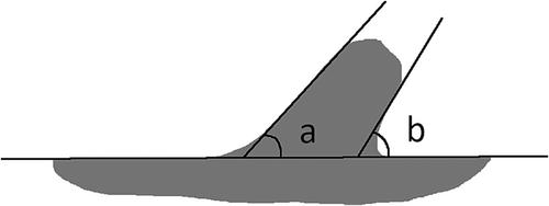 Test of the lateral angle method of sex estimation on Anglo-Saxon and medieval archaeological populations with genetically estimated sex