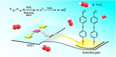 An organic transistor for detecting the oxidation of an organic sulfur compound at a solid–liquid interface and its chemical sensing applications†