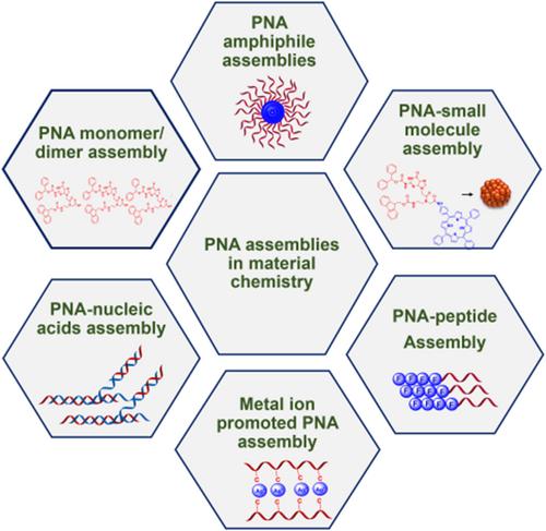 Recent advancements in bionanomaterial applications of peptide nucleic acid assemblies