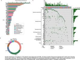 Next-generation sequencing reveals relapse and leukemia-free survival risks in newly diagnosed acute myeloid leukemia treated with CAG regimen combined with decitabine