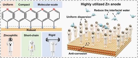 Molecular engineering of self-assembled monolayers for highly utilized Zn anodes