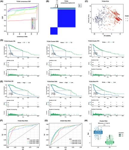 A TGF-β signaling-related lncRNA signature for prediction of glioma prognosis, immune microenvironment, and immunotherapy response