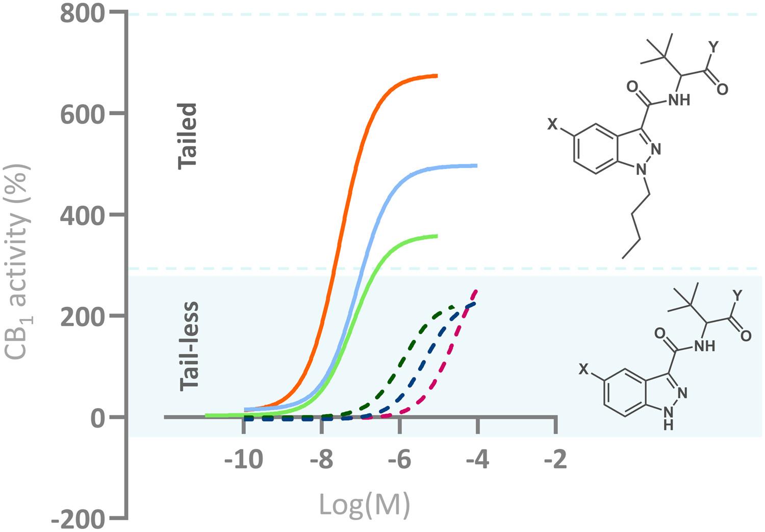 In vitro cannabinoid activity profiling of generic ban-evading brominated synthetic cannabinoid receptor agonists and their analogs