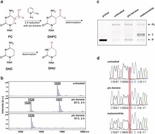 A Quantitative Sequencing Method for 5-Formylcytosine in RNA