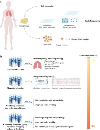 An overview of multiomics: a powerful tool applied in cancer molecular subtyping for cancer therapy