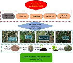 Intensified cropping reduces soil erosion and improves rainfall partitioning and soil properties in the marginal land of the Indian Himalayas