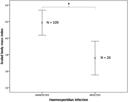 Prevalence and diversity of avian malaria parasites in illegally traded white-winged parakeets in Peruvian Amazonas