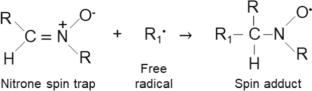 Electron Paramagnetic Resonance Applied to Free Radicals and Reactive Oxygen Species Detection in Plant Systems