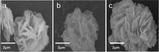 Morphology and Stoichiometry Dependent Electrocatalytic Activity of Cu2ZnSnS4 for Hydrogen Evolution Reaction (HER) with Addition of Nonionic Surfactants