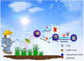 A timing self-cleaning nanoherbicide: Design of triple-structure nanovectors for weed control and pesticide residues treatment