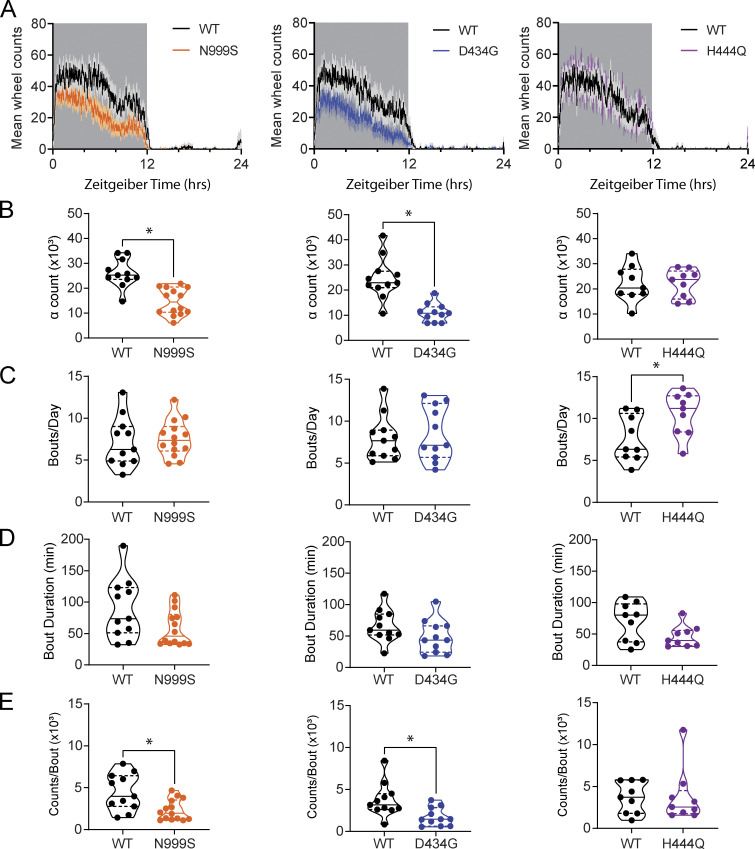 Disease-associated KCNMA1 variants decrease circadian clock robustness in channelopathy mouse models.