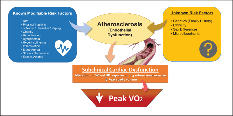 The evolving role of cardiopulmonary exercise testing in ischemic heart disease - state of the art review.