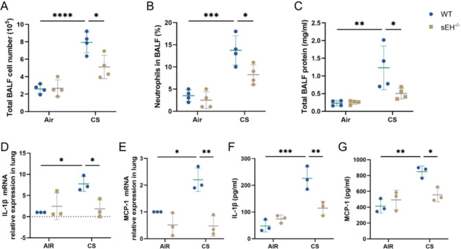 Soluble epoxide hydrolase deficiency attenuates airway inflammation in COPD via IRE1α/JNK/AP-1 signaling pathway.