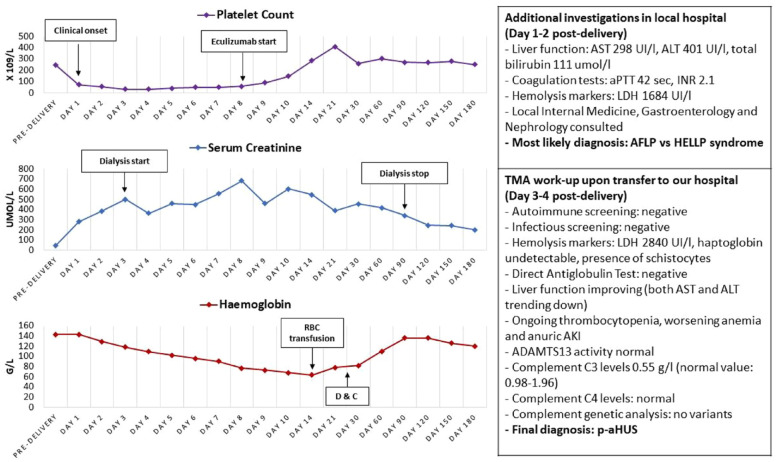 Complement-Mediated Thrombotic Microangiopathy in Pregnancy: An Educational Case Report.