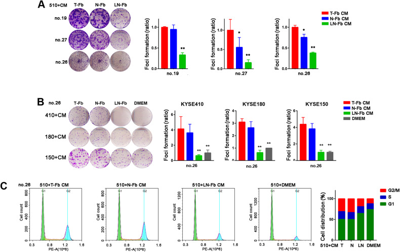 Fibroblasts in metastatic lymph nodes confer cisplatin resistance to ESCC tumor cells via PI16.