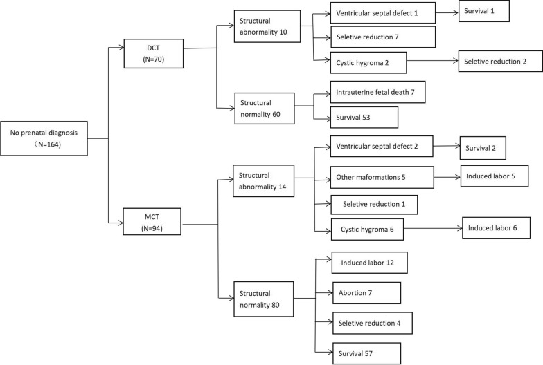 Prenatal diagnosis and perinatal outcomes of twin pregnancies disharmonious for one fetus with nuchal translucency above the 95th percentile.