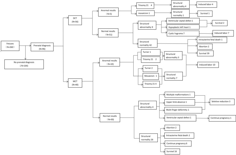 Prenatal diagnosis and perinatal outcomes of twin pregnancies disharmonious for one fetus with nuchal translucency above the 95th percentile.