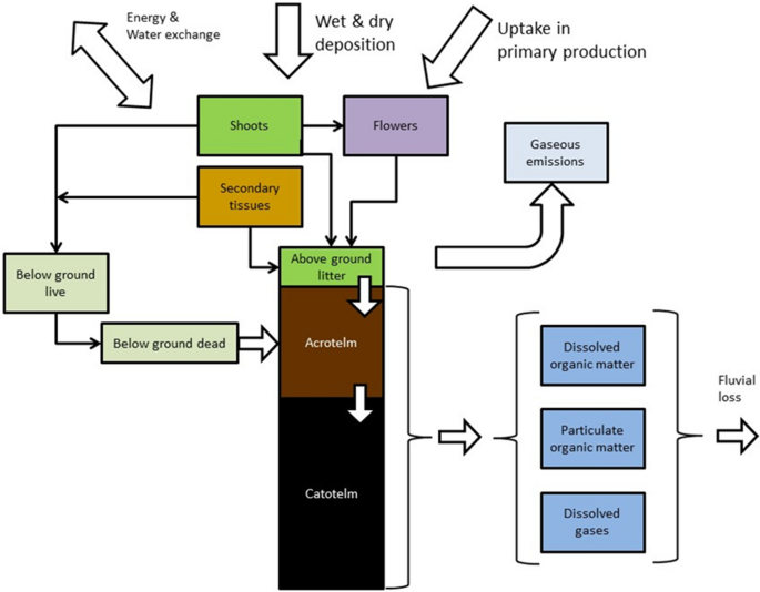 Comparison of the transformation of organic matter flux through a raised bog and a blanket bog