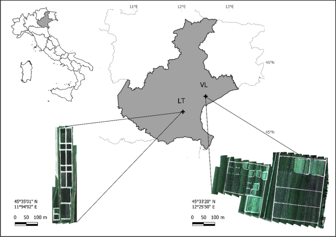 Mapping hailstorm damage on winter wheat (Triticum aestivum L.) using a microscale UAV hyperspectral approach