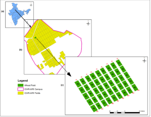 Drone remote sensing of wheat N using hyperspectral sensor and machine learning