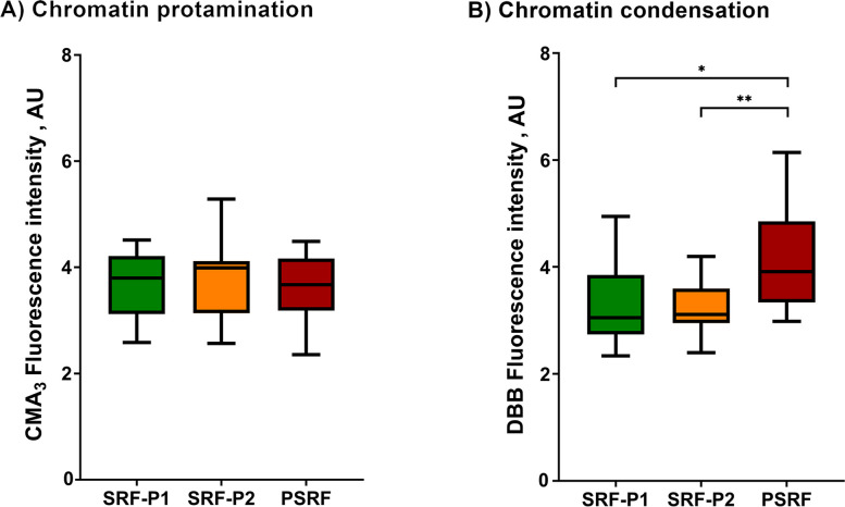 Chromatin condensation but not DNA integrity of pig sperm is greater in the sperm-rich fraction.