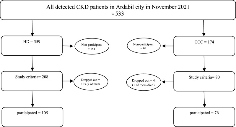 Economic evaluation of dialysis and comprehensive conservative care for chronic kidney disease using the ICECAP-O and EQ-5D-5L; a comparison of evaluation instruments.