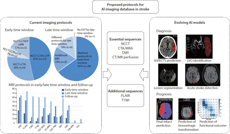 Proposed Protocols for Artificial Intelligence Imaging Database in Acute Stroke Imaging.