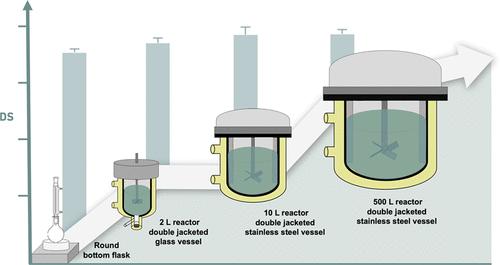 Synthesis of Cyclodextrin-Grafted Chitosan: From Laboratory Scale to Pilot Scale