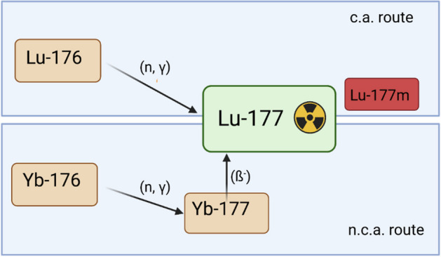 Evaluation of the 177mLu-concentration in in-house produced 177Lu-radiopharmaceuticals and commercially available Lutathera®