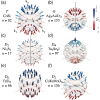 Diversity of radial spin textures in chiral materials