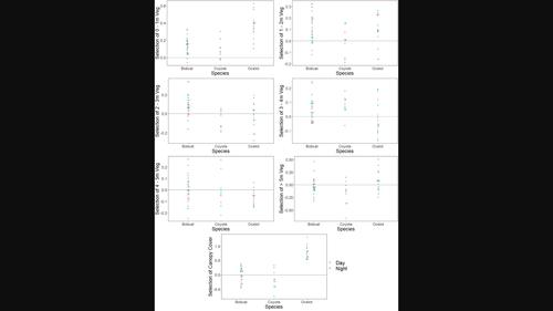 Selection in the third dimension: Using LiDAR derived canopy metrics to assess individual and population-level habitat partitioning of ocelots, bobcats, and coyotes