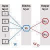 Principle of learning sign rules by neural networks in qubit lattice models