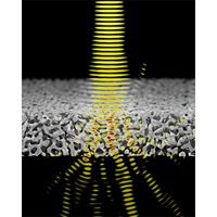 Light in correlated disordered media