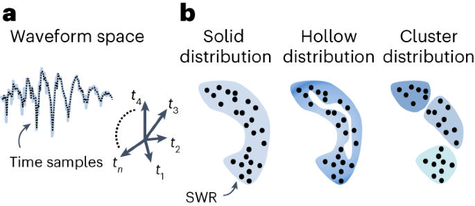 Topological analysis of sharp-wave ripple waveforms reveals input mechanisms behind feature variations