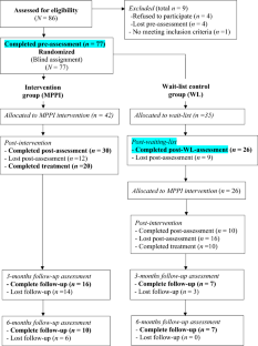 Promoting Well-Being in a Clinical Sample of Young Adults with Paranoid Tendencies: A Randomised Clinical Trial