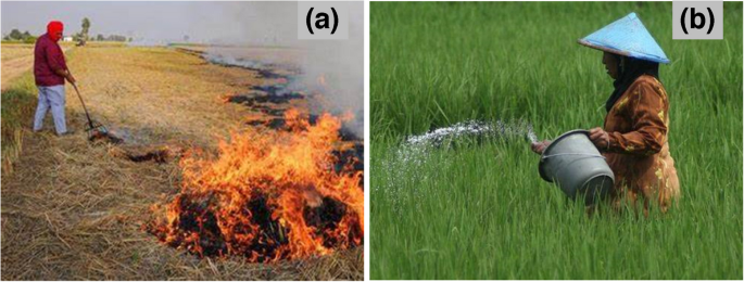 Pathways and determinants of changing nutrient management in lowland rice-based systems of Southeast Asia