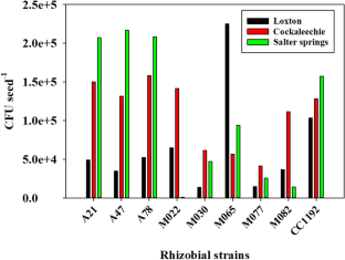 Native soil origin influences the symbiotic N fixation effectiveness of chickpea mesorhizobia grown in Australian soils