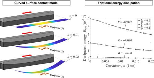 Influence of contact curvature on frictional energy dissipation under varying tangential loads