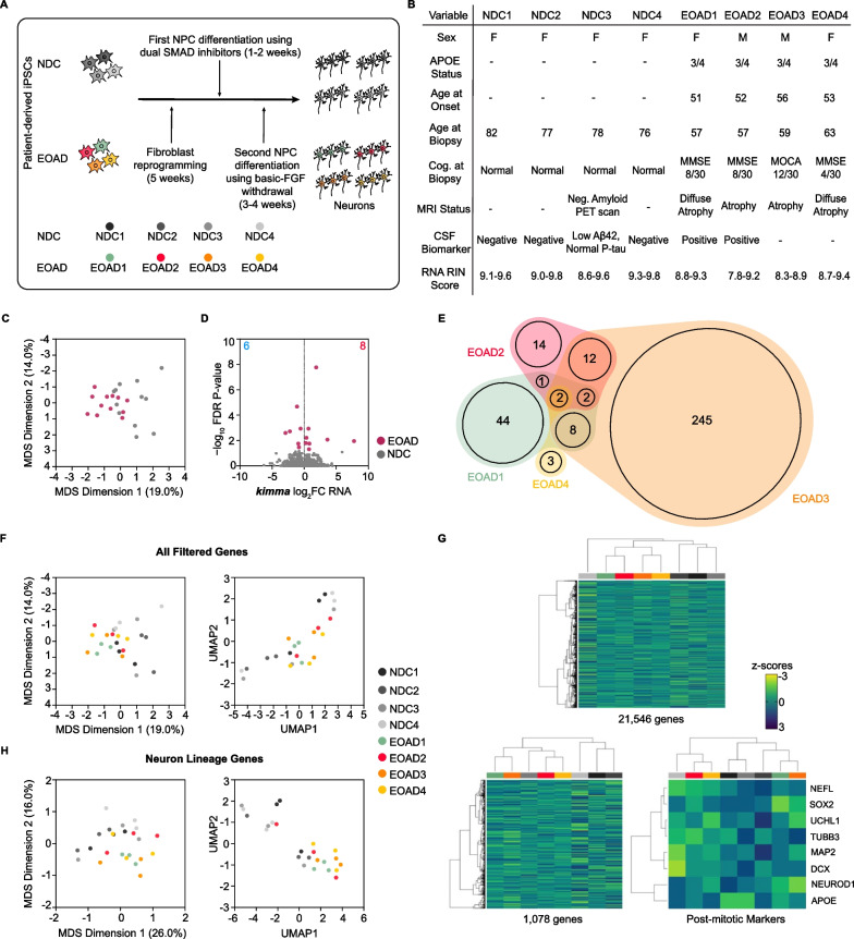 Limitations of the human iPSC-derived neuron model for early-onset Alzheimer's disease.