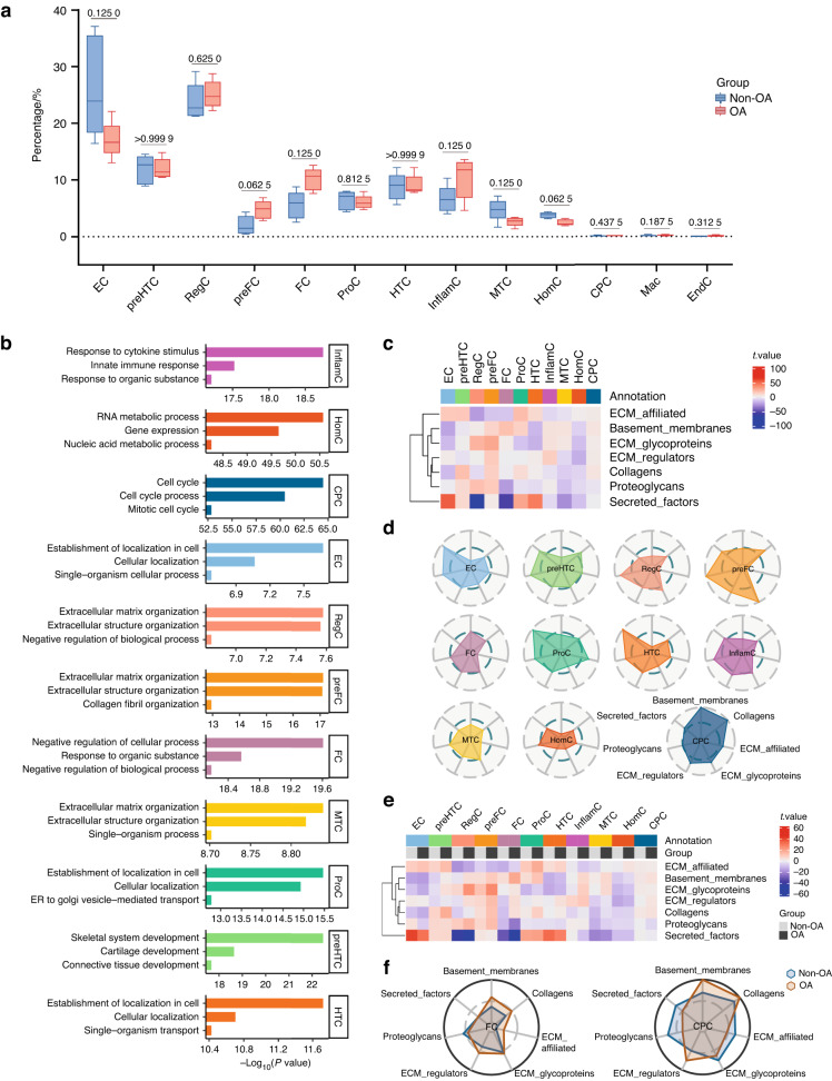 Combining single-cell RNA sequencing and population-based studies reveals hand osteoarthritis-associated chondrocyte subpopulations and pathways.