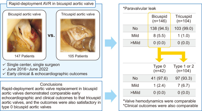 Comparable Outcomes of Bicuspid Aortic Valves for Rapid-Deployment Aortic Valve Replacement.