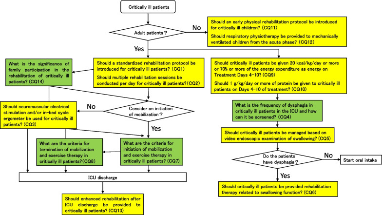 Japanese Clinical Practice Guidelines for Rehabilitation in Critically Ill Patients 2023 (J-ReCIP 2023).