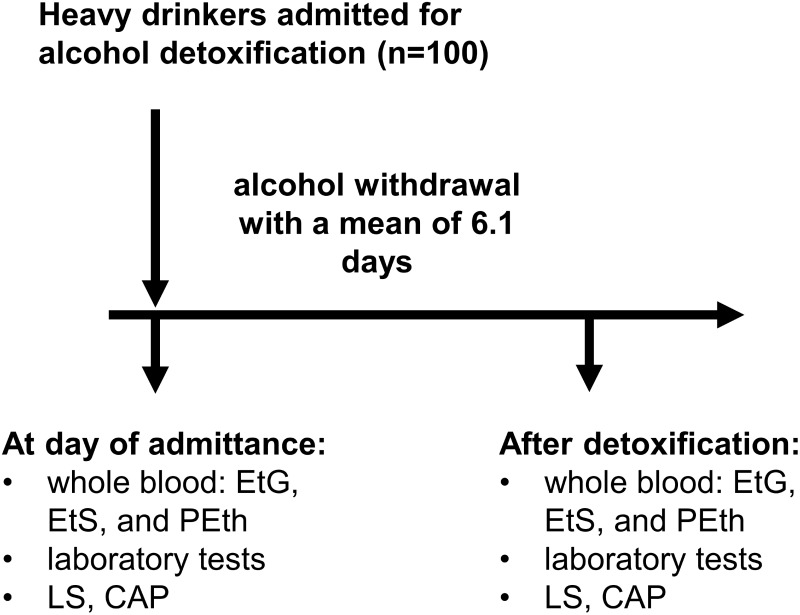 Confounders of Serum Phosphatidylethanol: Role of Red Blood Cell Turnover and Cirrhosis.