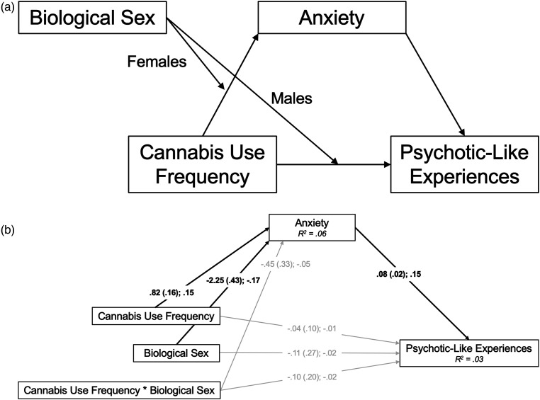 Do Anxiety Symptoms Mediate the Association Between Cannabis Use Frequency and Psychotic-Like Experiences in Emerging Adult Undergraduates?