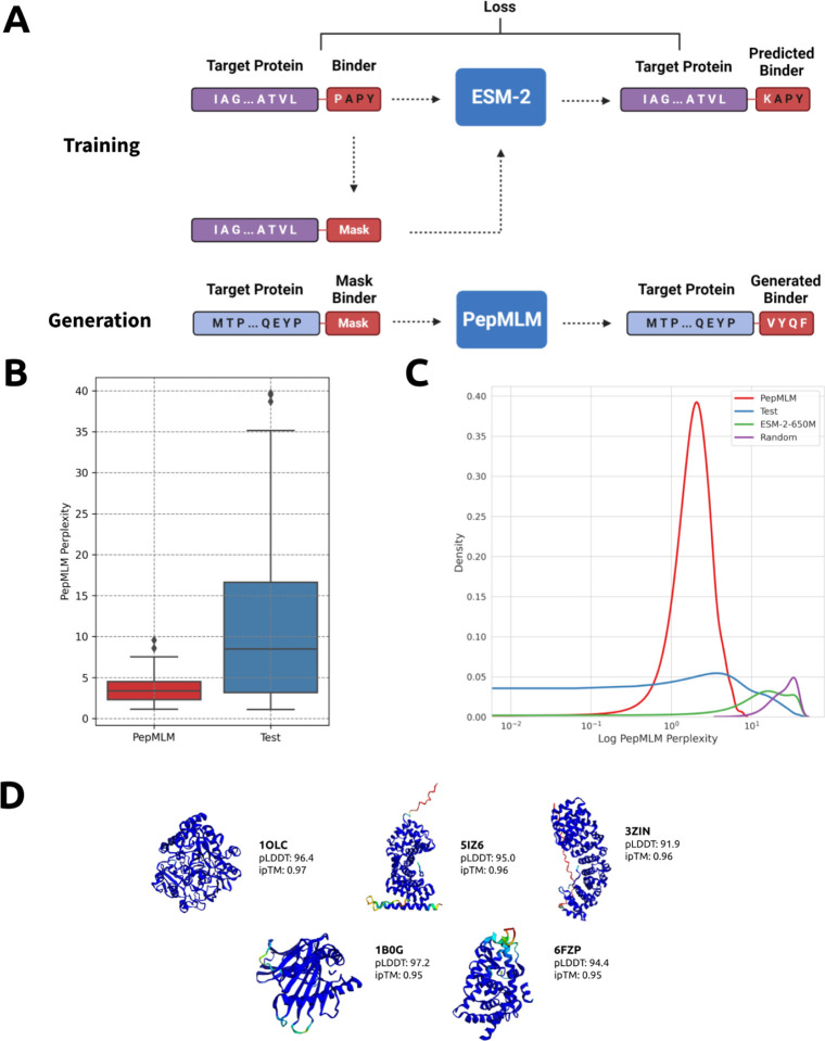 PepMLM: Target Sequence-Conditioned Generation of Therapeutic Peptide Binders via Span Masked Language Modeling.